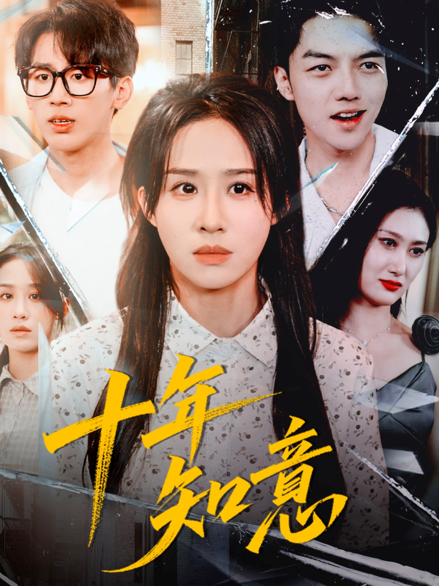 十年知意(全集)