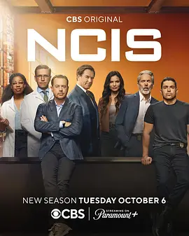 海军罪案调查处第二十四季