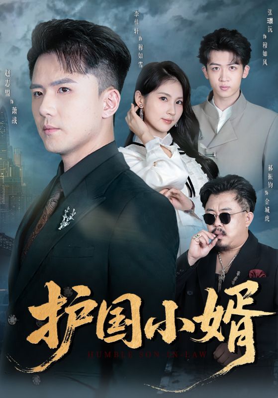 护国小婿(全集)